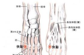 侠溪(Xiáxī)穴 - 脚部穴位