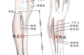 外丘(Wàiqiū)穴 - 腿部穴位