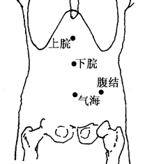 腹结(Fùjié)穴 - 腿部穴位