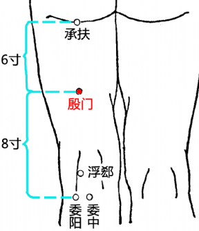 殷门(Yīnmén)穴 - 腿部穴位