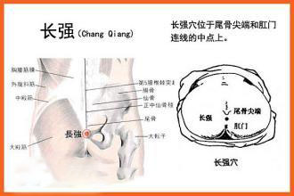 长强(Chángqiáng)穴 - 臀部穴位