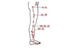 敲打胆经多久能瘦腿呢 水肿型腿能敲打胆经瘦腿吗